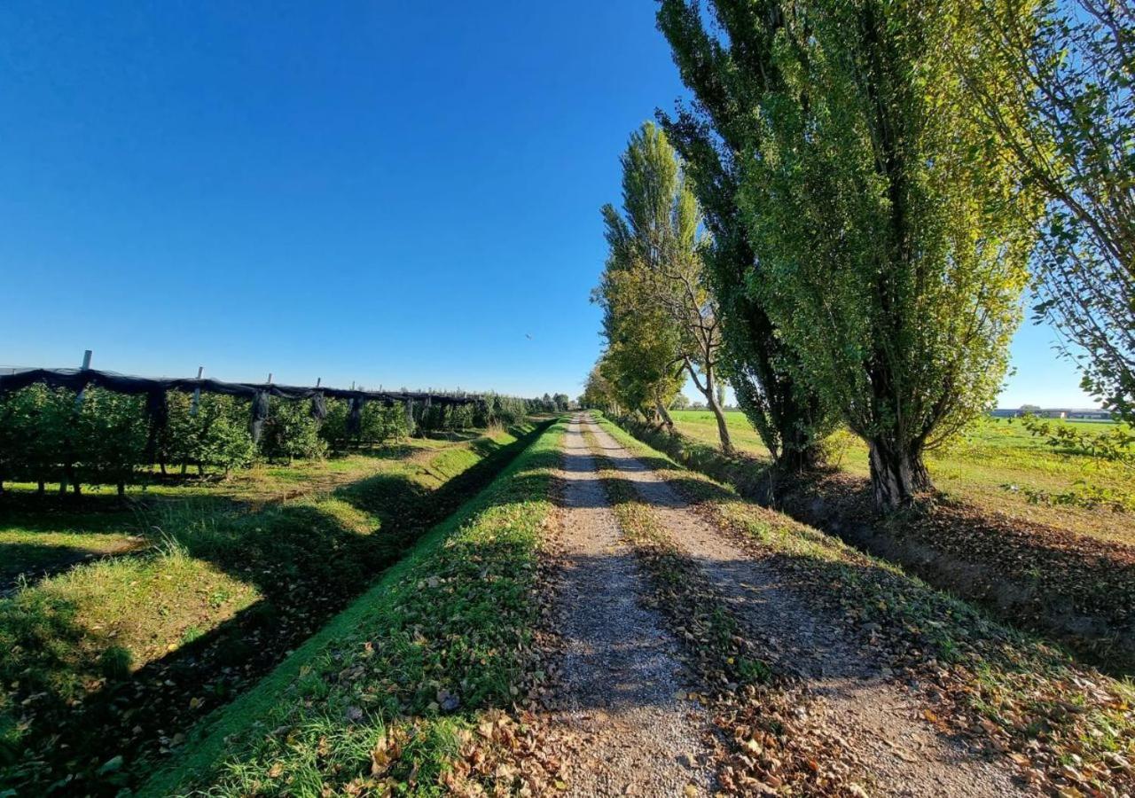 Sulla Ciclabile Apartment Lungo Il Fiume Adige Zevio Exterior photo